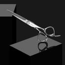 Fromm Shear Artistry Explore Silver Shear 5.75"