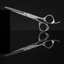 Fromm Shear Artistry Transform Silver Shear