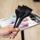 Framar Classic Color Brush, 3 Pack