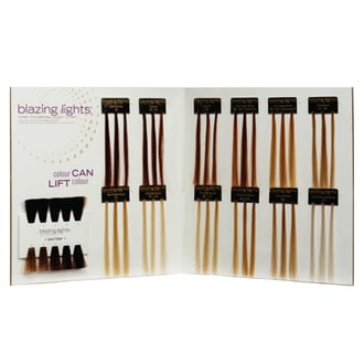 Scruples Blazing Highlights Toner Infused Gel Swatch Book Scruples Blazing Highlights Toner Infused Gel Swatch Book