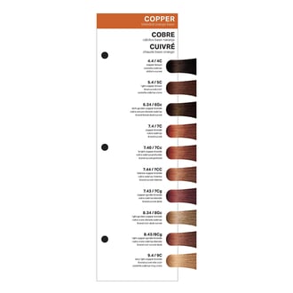 PRAVANA Swatch Insert Chromasilk Copper PRAVANA Swatch Insert Chromasilk Copper