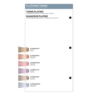 PRAVANA Swatchbook Insert ChromaSilk Platinum Toners PRAVANA Swatchbook Insert ChromaSilk Platinum Toners