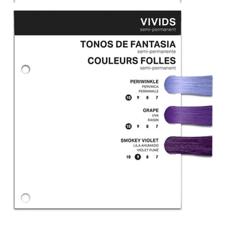 PRAVANA Swatchbook Insert ChromaSilk Purple PRAVANA Swatchbook Insert ChromaSilk Purple